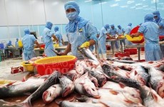 Tra fish exports target 2.4 billion USD