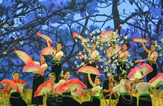 Ban Flower Festival 2019 to be held in Dien Bien in March