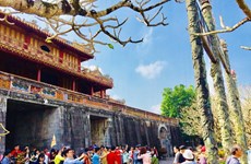 Hue ancient capital – favourite destination for tourists during Tet