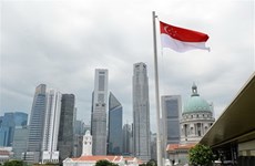 Singapore attracts over 8 bln USD into fixed assets last year