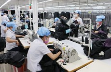 Domestic labour market to hit 56 million in 2019