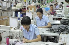 Vietnamese labourers to work in Russia