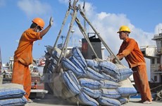 Cement, clinker exports see strong surges 