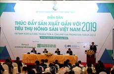 Vietnam seeks to boost agricultural production, consumption