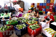 Fruit, vegetable exports down 9.9 percent in Jan-Feb