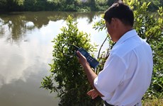 Saltwater intrusion hits Mekong Delta