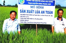  Hau Giang to pilot smart rice cultivation