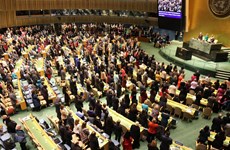 Vietnam attends UN’s largest meeting on gender equality