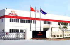 Mavin to invest in food processing plant in Vietnam  