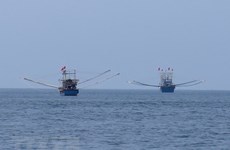 Vietnam’s marine development strategy introduced in Malaysia 