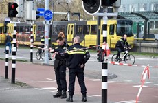 Leaders send condolences to Netherlands over tram shooting