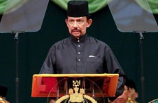 Sultan of Brunei to pay State visit to Vietnam 
