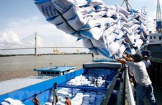 Vietnam sees rice export opportunity in Egypt