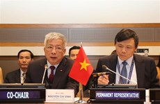 Vietnam calls for more int’l support in war consequence settlement 