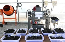 Japan’s organic waste treatment tech introduced in HCM City