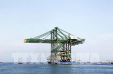 Three made-in-Vietnam giant cranes shipped to India