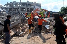 Indonesia: 4.5-magnitude earthquake hits Central Sulawesi 