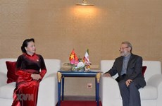 Vietnam, Iran look to foster partnership in various fields