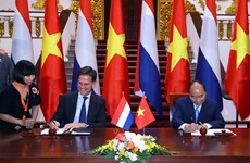 Vietnam, Netherlands issue joint statement 