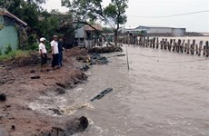 Conference looks to fight coastal erosion in Mekong Delta
