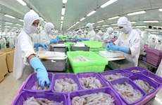 Vietnamese shrimp exporters to US to enjoy zero tariffs
