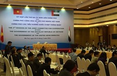 Vietnam-UAE intergovernmental meeting to discuss numerous issues 