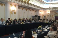 Vietnam, Cuba discuss reform of SOEs 