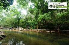 Ozo Treetop Park – new tourism product of Quang Binh 