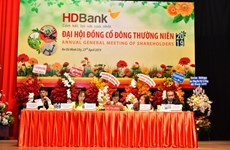 HDBank targets profits up 27 percent in 2019