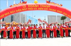 Cluster of solar power plants inaugurated in Ninh Thuan 