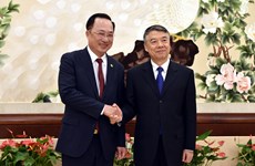 Vietnamese, Chinese public security bodies boost cooperation 