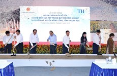 Work begins on TH dairy farm project in Thanh Hoa province