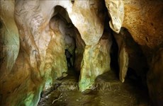 Vo Nguyen Giap Cave in Quang Binh opens to visitors