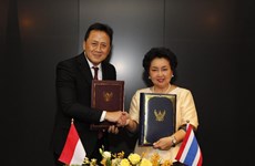 Thailand cooperates with Indonesia to push for creative industries