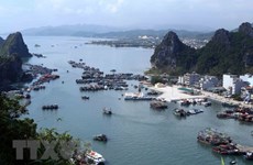 Quang Ninh woos investment in EZs, IPs with incentives