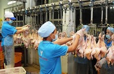 Thai firm to export poultry products by 2020