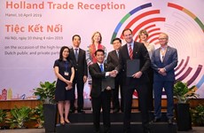 Vietnamese, Dutch firms cooperate in high-quality breeding pig project