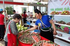 Son La’s agricultural products promoted in Hanoi