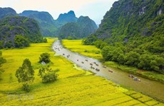Vietnam to introduce tourism in RoK in late June