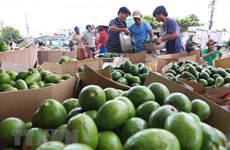 Vietnamese farm produce seeks to reach further in global market