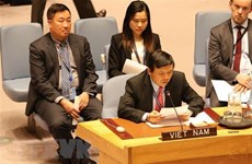 UN Security Council membership enables Vietnam to contribute more to UN 