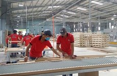 Vietnam’s wood exports soar to nearly 3.12 billion USD