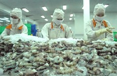 Soc Trang partners with Hiroshima to build clean shrimp brand