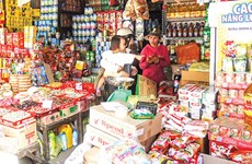 Trading households hesitant to become firms in Mekong Delta