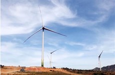 Quang Tri looks to develop solar, wind power