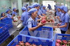 Fruit, vegetable exports top 1.6 billion USD