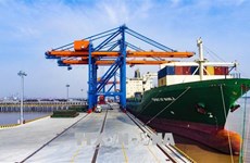 Vietnam looks to build criteria for ecological seaports 