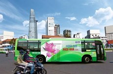 HCM City to auction again advertising space on buses
