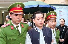 HCM City court upholds jail sentence for Phan Van Anh Vu 