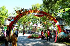 Kite festival kicks off in Thua Thien-Hue 